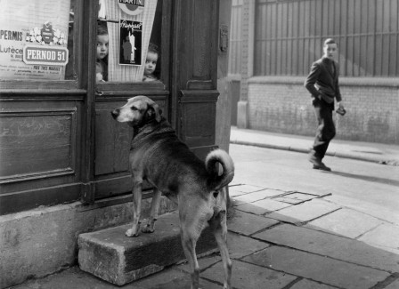 Robert Doisneau Paris 1953 le chien à la porte.jpg, mar. 2021