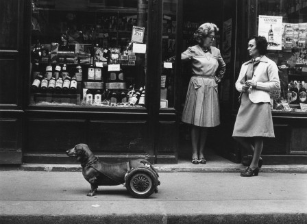 Robert Doisneau les beaux proverbes chien à roulettes 1977.jpg, mai 2020