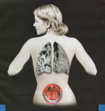 Robert Rozelrav les voies aériennes inférieures.jpg, sept. 2019