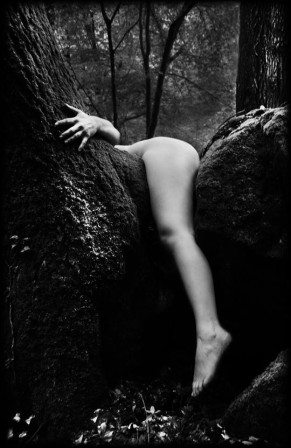 Sandra Požun la jambe qui cache la forêt.jpg, avr. 2023