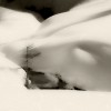 Sara Silks neige le refuge du sapin.jpg, déc. 2020