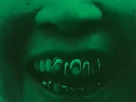 Shuji Terayama The Cage 1970s sourire vert 2.jpg, avr. 2021