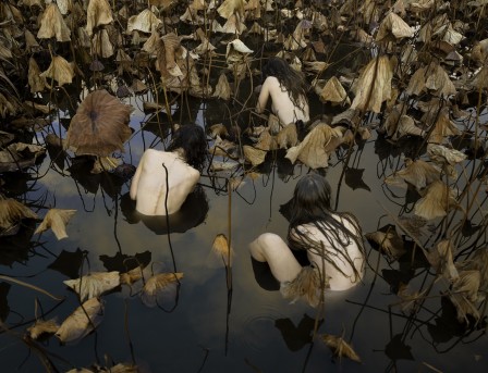 Tamara Dean les feuilles mortes.jpg, janv. 2020