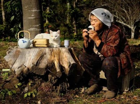 The Daily Life of a Grandma and Her Odd-Eyed Cat - Miyoko Ihara  petit déjeuner.jpeg, juil. 2020
