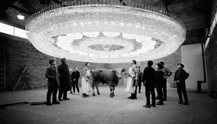 Un abattoir près de la ville de Darmstadt, dans l'ouest de l'Allemagne, le 29 novembre 1962 le lustre du Cheikh vache.jpg, déc. 2020