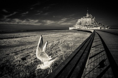 Véronique Peyle mont Saint-Michel.jpg, oct. 2020