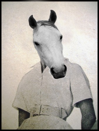 Vesperalia lady horse femme cheval.jpg, janv. 2021