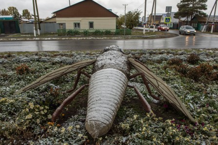 Vitalii Emeljanof première neige insecte.jpg, nov. 2023