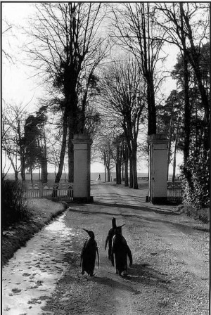 Willy Ronis Le repos du cirque Pinder Touraine 1956 Winter is coming.jpg, nov. 2021