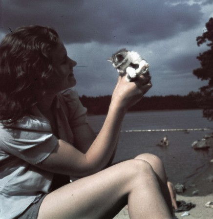 Woman and kitten 1938 Sweden chat les images terribles de la guerre.jpg, mai 2023