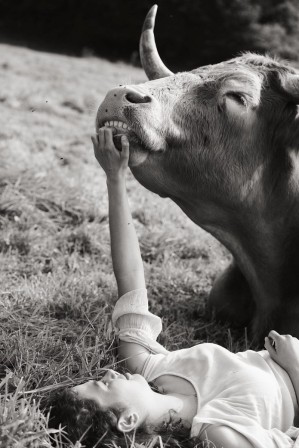 Yana Wernicke vache printemps le temps des cerises les belles auront la folie en tête.jpg, mars 2023