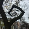 arbre spirale.jpg, nov. 2022