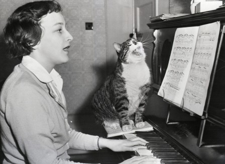chat musique les grands cantatrices.jpg, août 2019