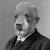 je suis un animal.jpg, août 2020