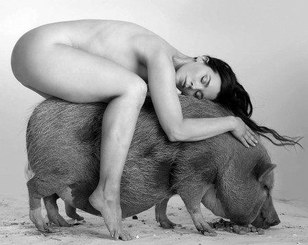 l'amour du cochon.jpg, sept. 2019