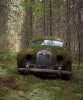 la voiture verte 2.jpg, janv. 2020