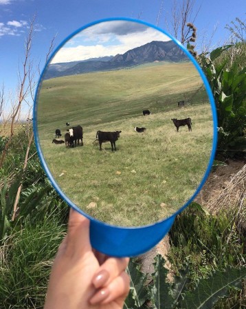 miroir je suis une vache.jpg, mars 2023