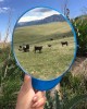 miroir je suis une vache.jpg, mars 2023