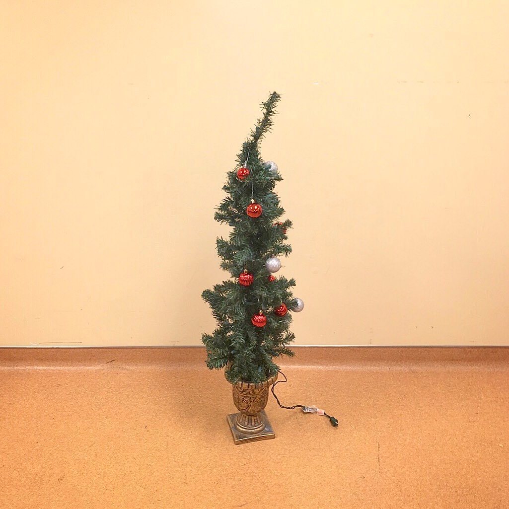bref, j'ai décoré le sapin - Bretzel liquide, humour noir et photos étranges