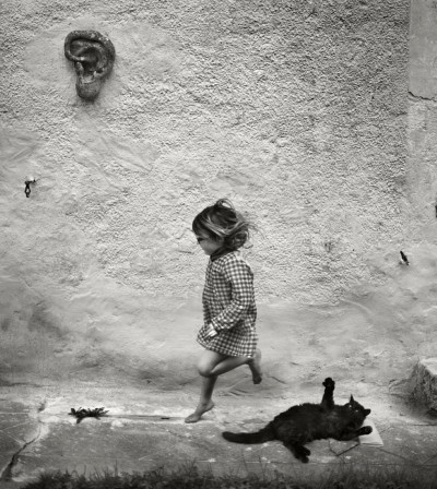 Alain Laboile c'est toi le chat