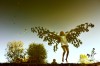 Alain Laboile les papillons