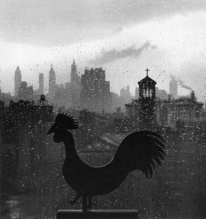 André Kertész. Rainy Day, New York City, 1952 coq un français à New York