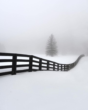 Ashley. Maley la neige semblait plus blanche de l'autre côté.jpg, janv. 2024