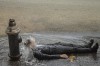 Ben Zank canicule petit bain