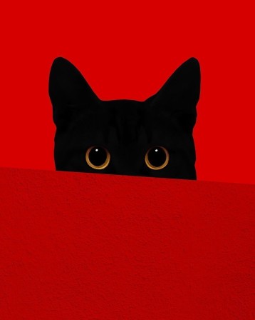 Benjamin Wolf rouge et noir chat.jpg, févr. 2024