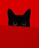 Benjamin Wolf rouge et noir chat.jpg, févr. 2024