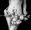 Benoit Courti. ''Welcome Spring'' printemps la saison du mimosa