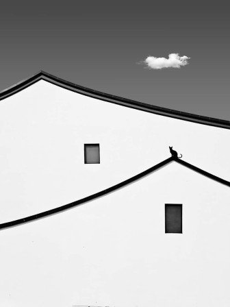 sur la ligne minimaliste des toits, sous un petit nuage, un chat au sommet