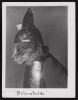 Brünnhilde, 1936, Photographer Adolph Edward Weidhaas chat Walkyrie Richard Wagner la Chalkyrie