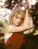 Catherine Deneuve Belle de Jour ses regrets de ne pas avoir été prise pour le rôle de Quasimodo sur le casting de Notre-Dame de Paris,1956