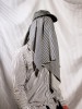 Delaney Allen Hidden self portraits matin les rayures amincissent