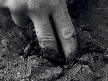 Denis Piel les doigts dans la terre humide
