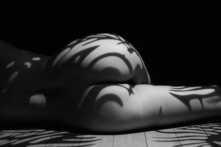 une femme nue allongée sur le sol l'ombre des plantes dessine des motifs sur sa peau