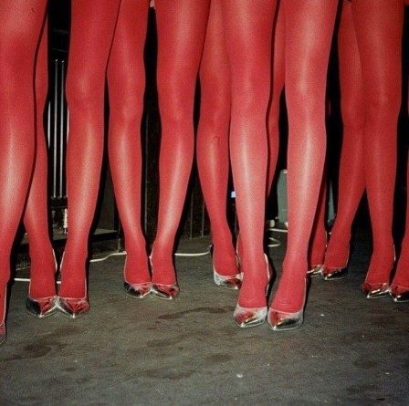 Diana Malinowska red supremacy les flamands roses