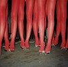 Diana Malinowska red supremacy les flamands roses
