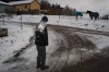 un homme reçoit une boule de neige ; de l'autre côté d'une route d'hiver, deux chevaux en tête à tête