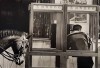 New York : un cowboy dans une cabine téléphonique, sa monture attachée dans la rue