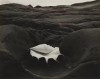 Edward Weston Shell coquillage 1931