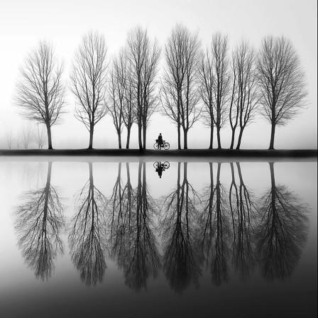 Elena Georgiou reflet arbres et vélo au bord d'un fleuve le monde et son double