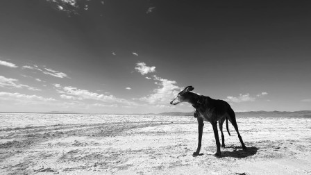 Eric Rose The Bonneville Salt Flats si la terre est plate.jpg, janv. 2024