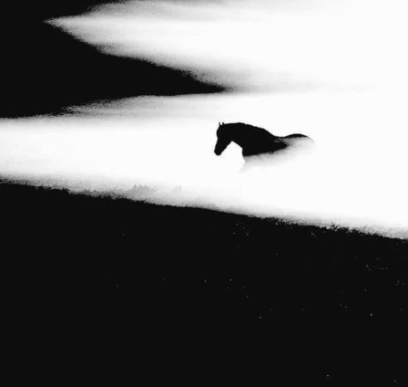 Erik van Asten mer de nuage comme un cheval dans la brume