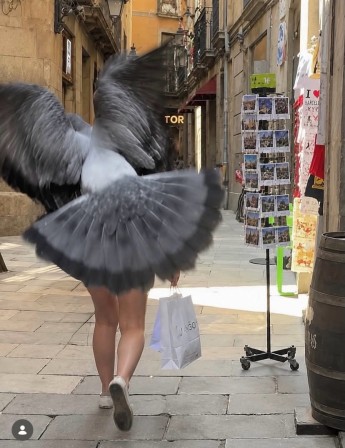 Frank J Llamas oiseau les jambes de la colombe
