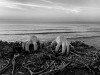 From Unending, Photo © Ismail Jaddi les mains accrochées au bord de la falaise sortir des eaux lundi