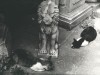 Henriette Grindat. Venise , vers 1955 chat tu ne te prosterneras pas devant les idoles