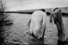 Homeless Man Bathes in a Ditch. Mendota, California, Photo by Matt Black SDF rester propre