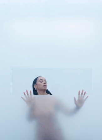 Ibrahim Hasan Solange Knowles, In Service to Whom (2023) sœur cadette de Beyoncé le mur de verre